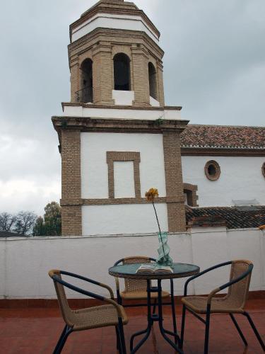 Colon Ronda